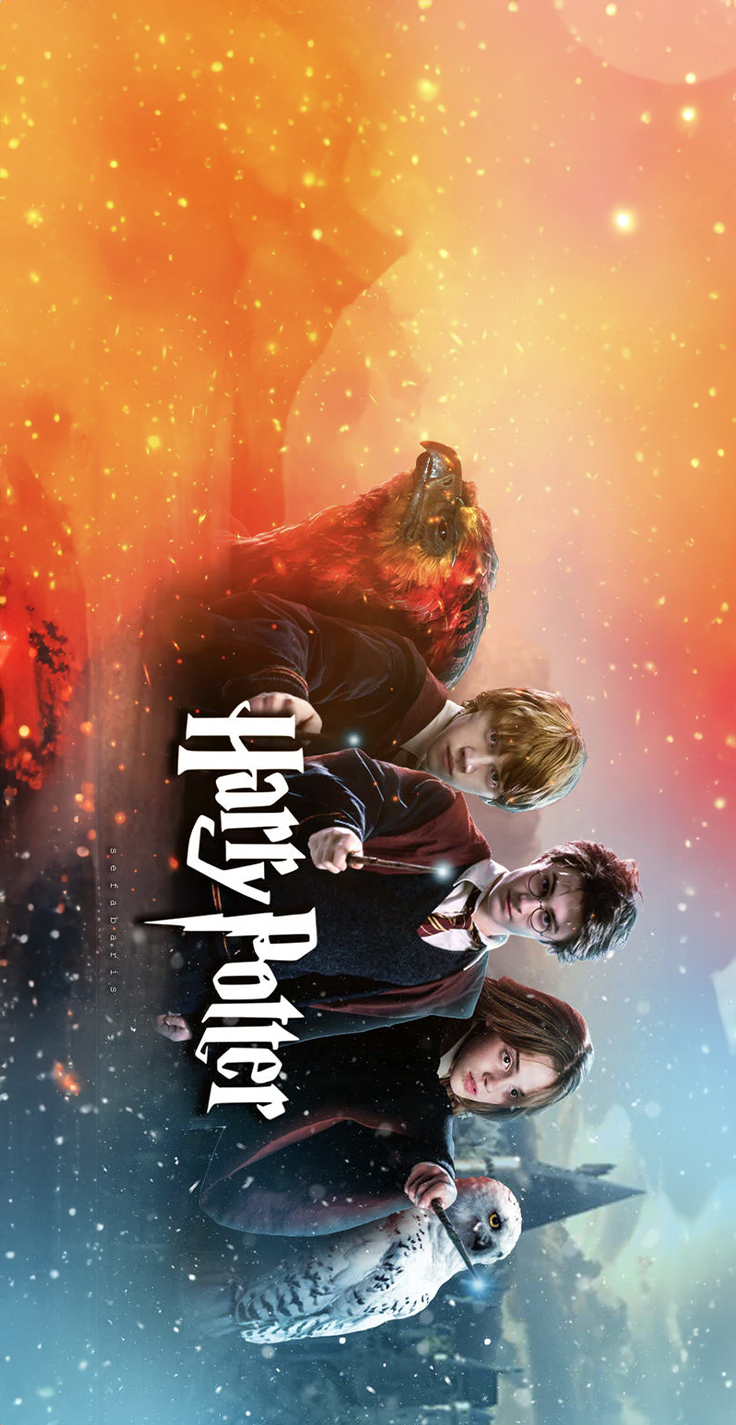 Carcasa Harry Potter